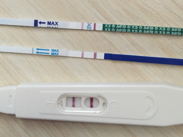 验孕棒怀孕照片清晰图片