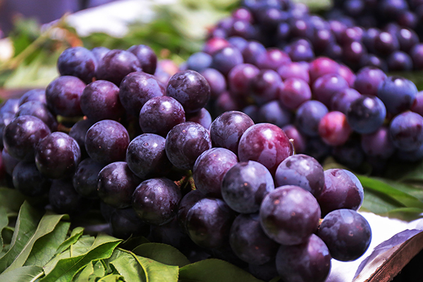 葡萄含有丰富维生素