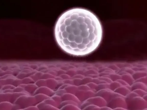 移植后尿多可能是胚胎着床