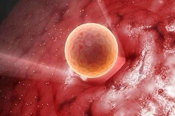 胚胎移植后要避免热敷腹部