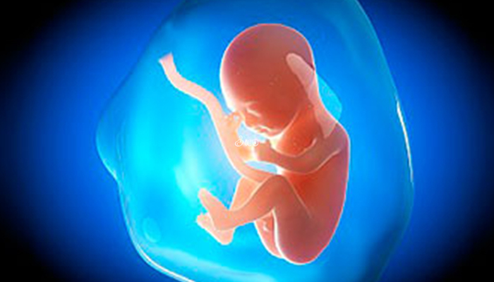 女性腹部高温半小时对胎儿没影响