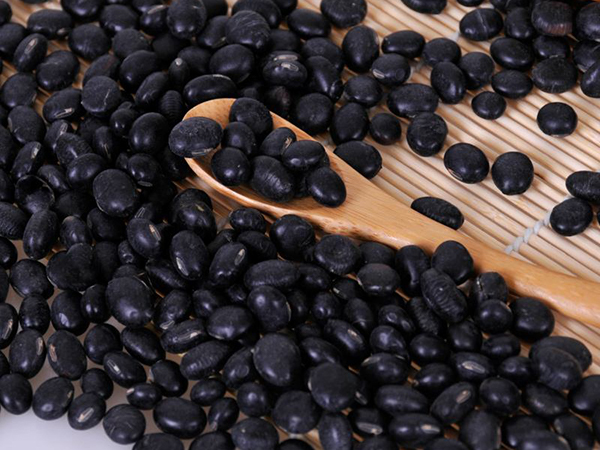 黑豆是蛋白质含量丰富的食物
