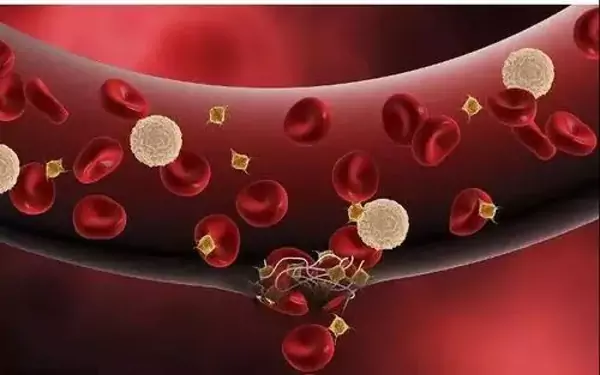 吃甲钴胺能预防贫血
