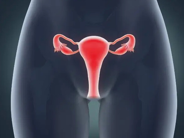 宫腔环境会影响试管的成功率