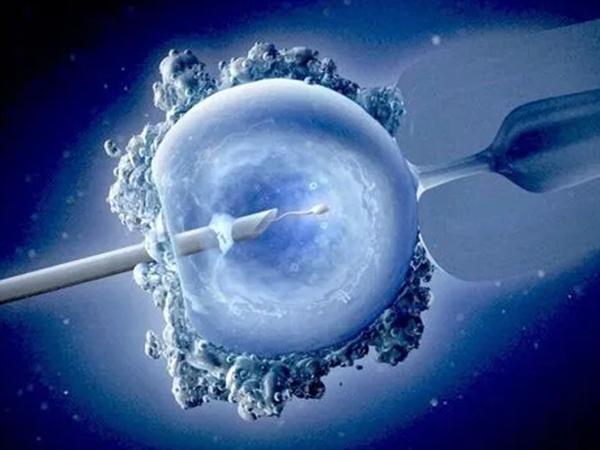 不憋尿移植胚胎有影响
