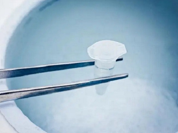 冻胚一般储存在低温的环境中