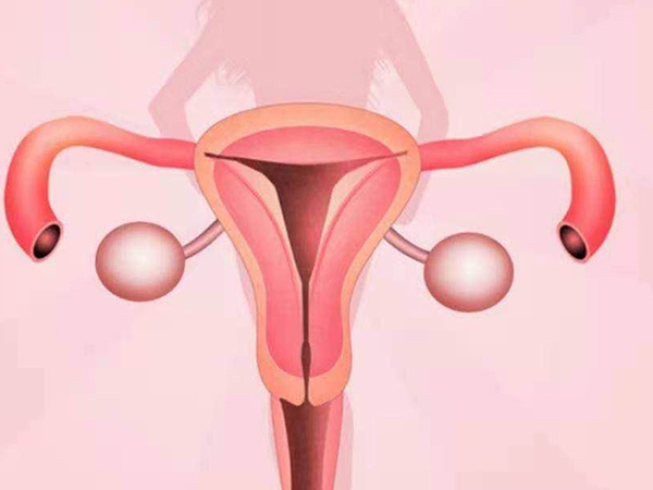 腹部疼痛是女性输卵管堵塞的症状