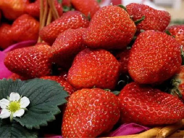 怀孕吃草莓有好处