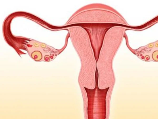 输卵管堵塞会影响怀孕