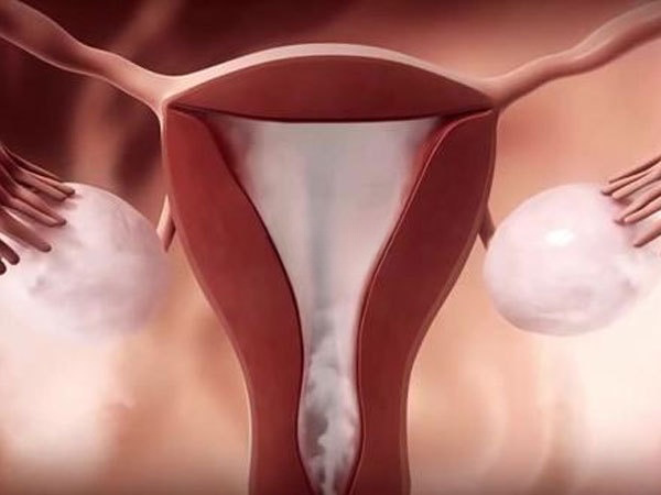 备孕期间输卵管堵塞会导致不孕