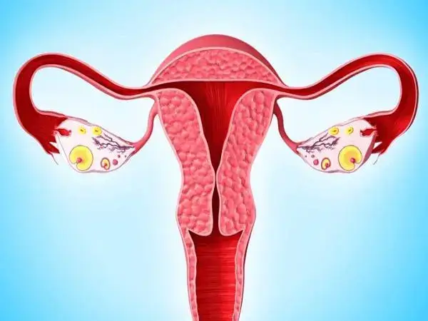 松康泉可以改善女性子宫内膜