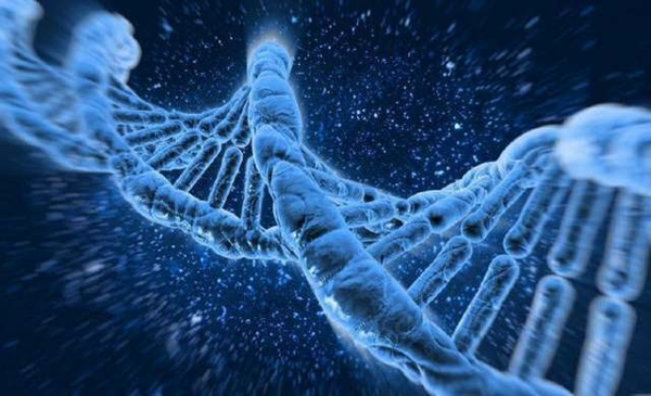 三代试管有胚胎遗传学检测技术