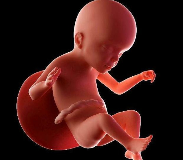 怀孕打速碧林的作用是保胎