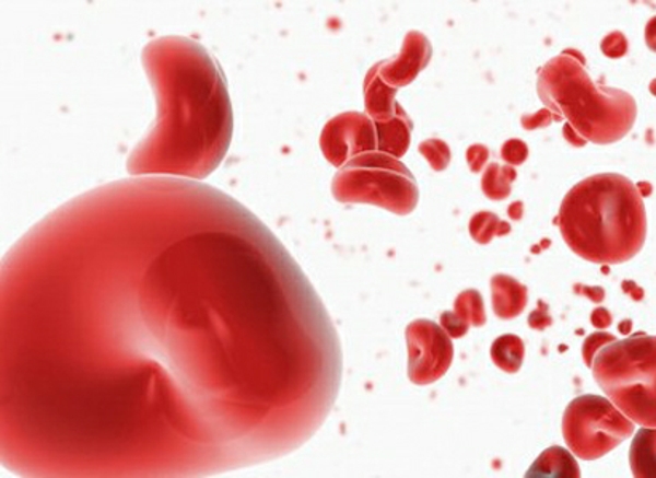 脐带血中含有多种干细胞