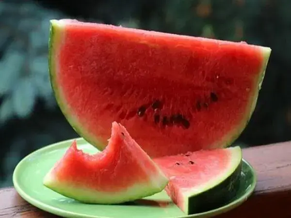 西瓜属于是凉性的水果