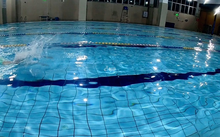 游泳是有氧运动