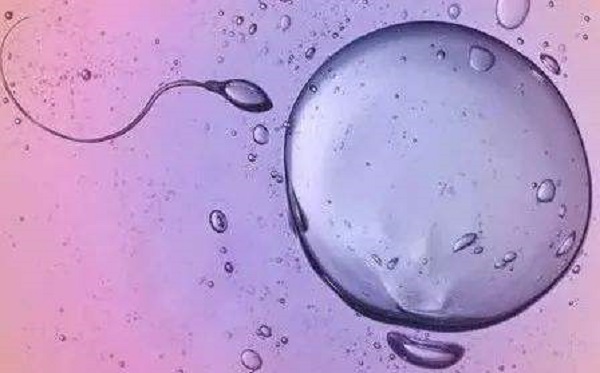 精子活力会间接影响受孕几率