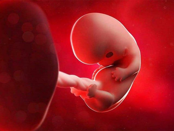 判断胎儿性别可以看孕妇后腰