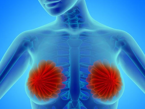 体内激素水平变化会导致乳房胀痛
