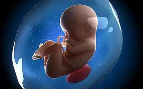 孕期胎动频繁是不是生男孩