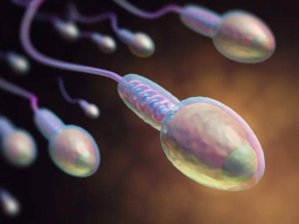 精子正常不用做染色体检查