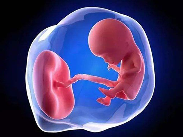 胎儿一周涨多少正常