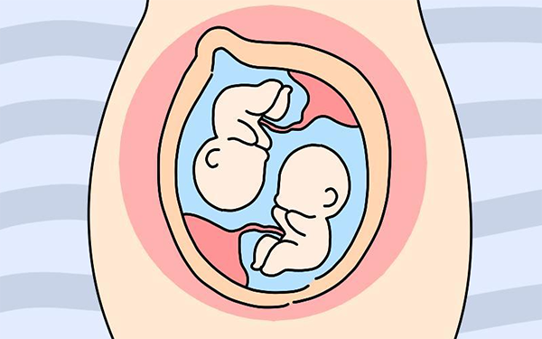 生育多胞胎可增加产假