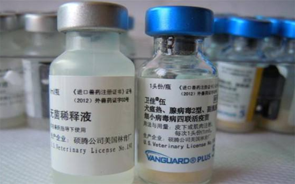 上海四联疫苗价格多少