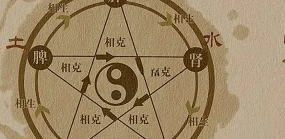 雞的五行屬性為金