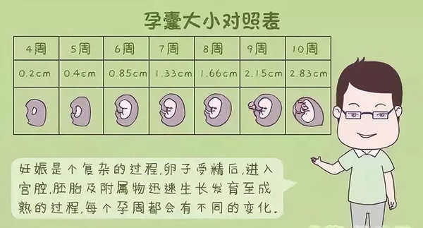 孕囊大小16*9mm表示的是大约怀孕40天