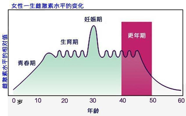 激素水平的变化会导致做春梦