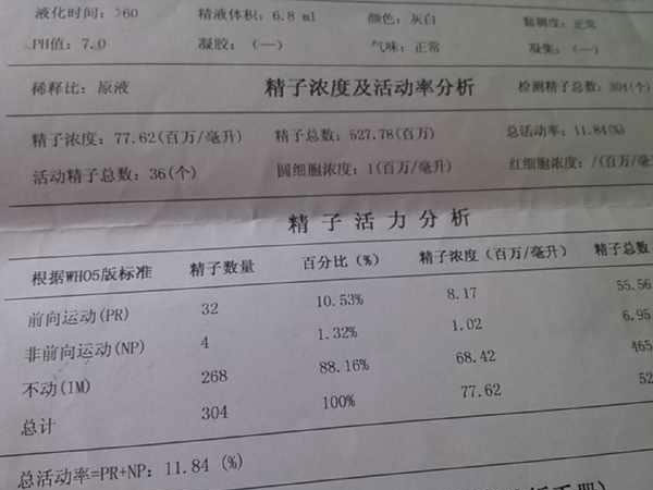 精子质量好试管成功率高