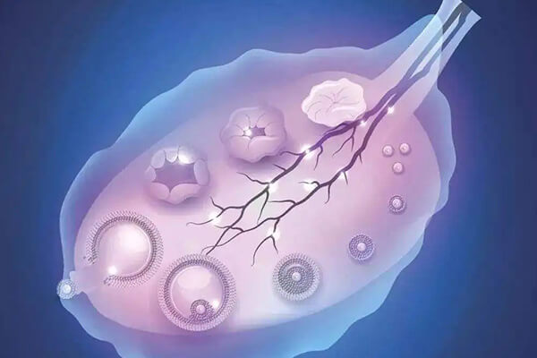 促排卵能提高患者获卵数