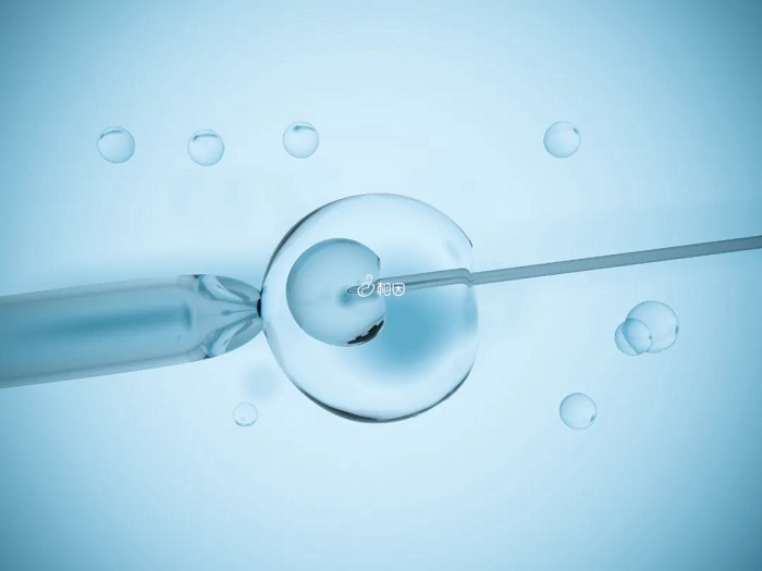 胚胎移植后对温度有要求