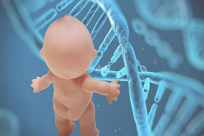 染色体异常会导致胚胎停育