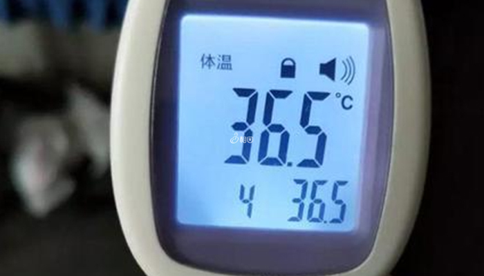 详细解读排卵期的6大症状表现,阴道分泌物变多最为明显 - 相因宝贝