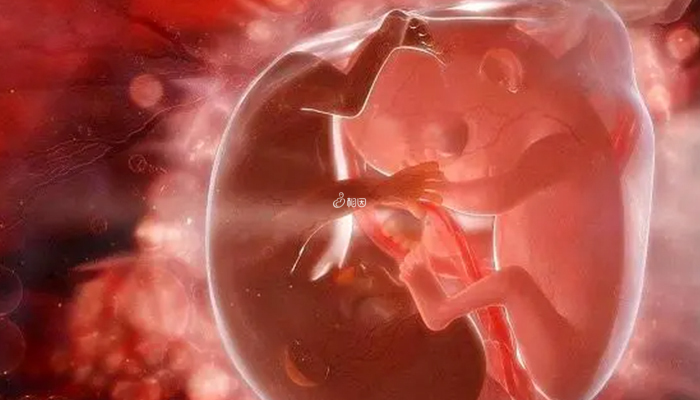 同卵双胎妊娠风险大