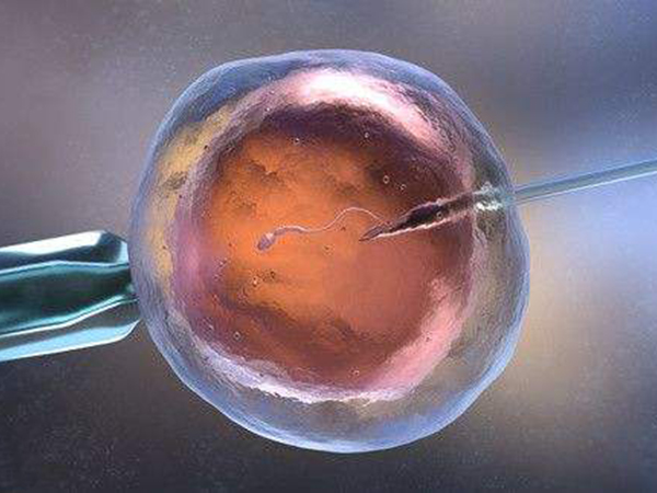子宫内膜达到一定厚度才能进行胚胎移植