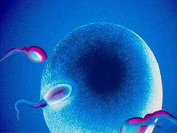 无伴性遗传病不允许做试管选择胎儿性别