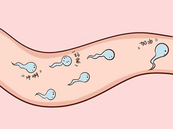 二代试管是针对精子活力差的技术