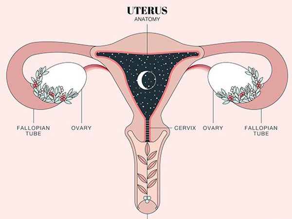 女性要做输卵管检查