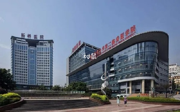 重庆新桥医院试管婴儿成功率